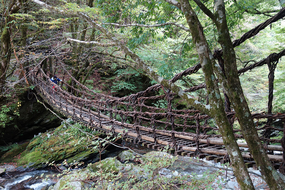奥祖谷二重かずら橋(女橋)