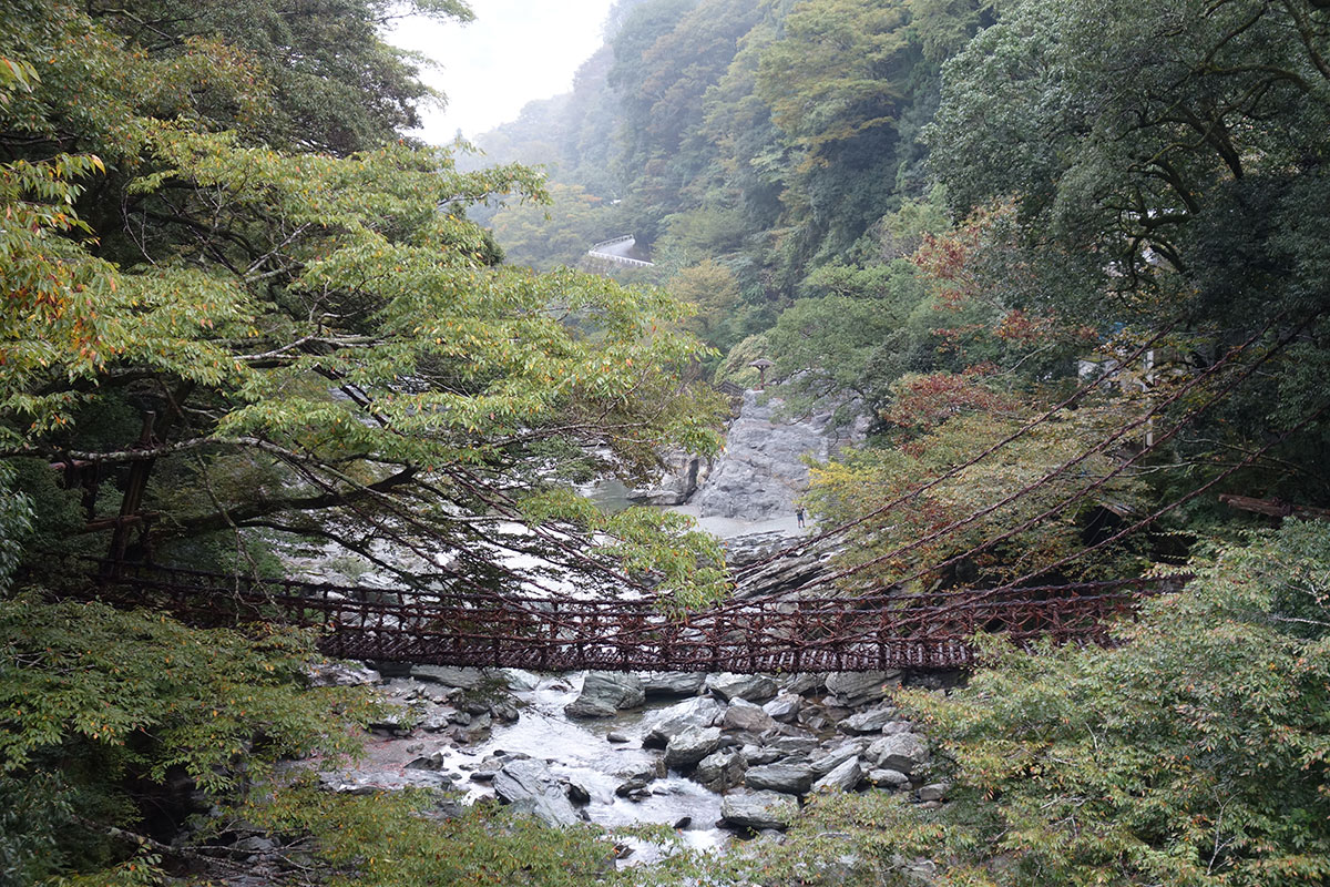 祖谷かずら橋