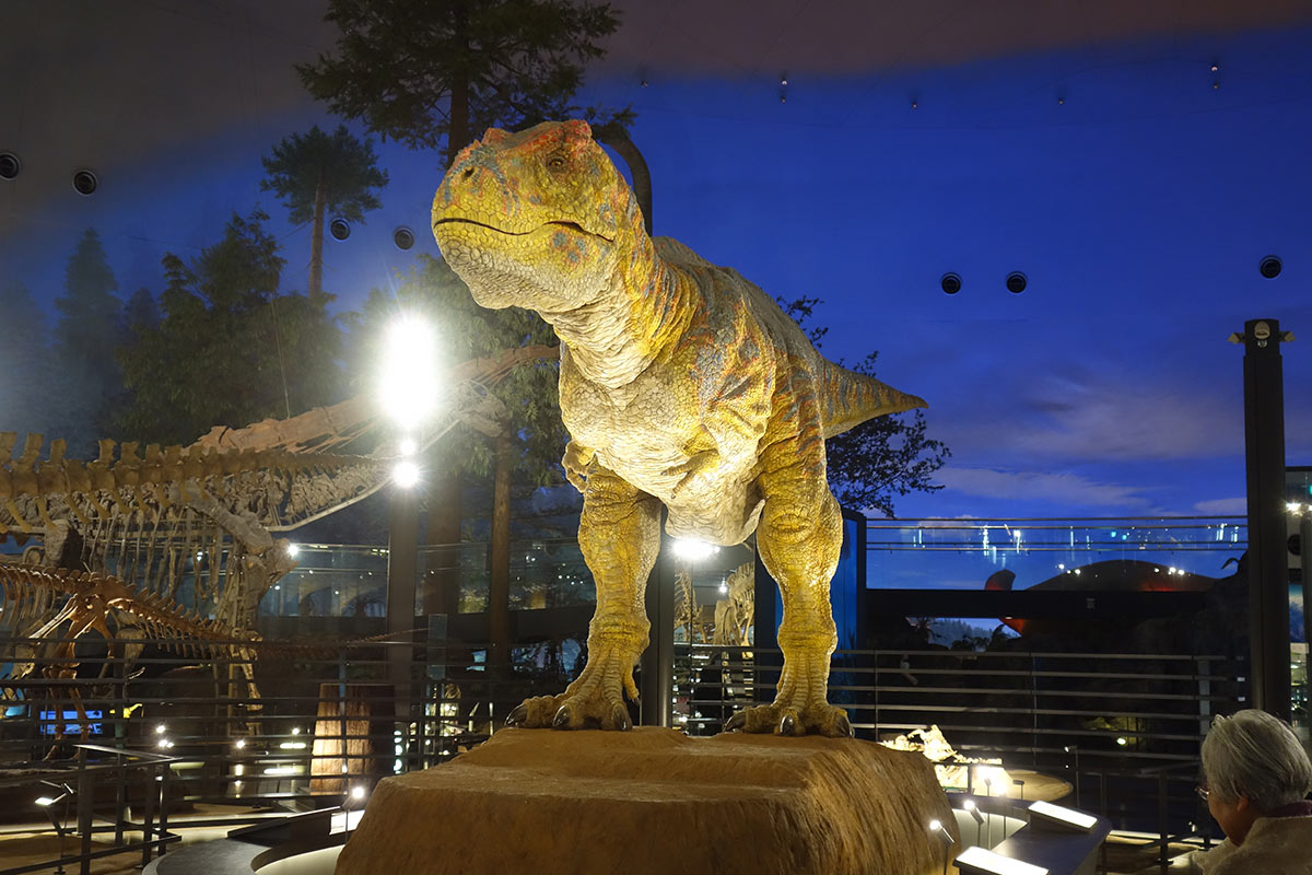福井県立恐竜博物館