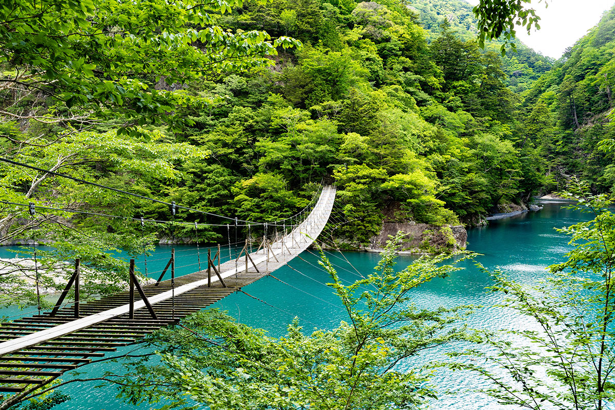 夢のつり橋 川根本町まちづくり観光協会提供