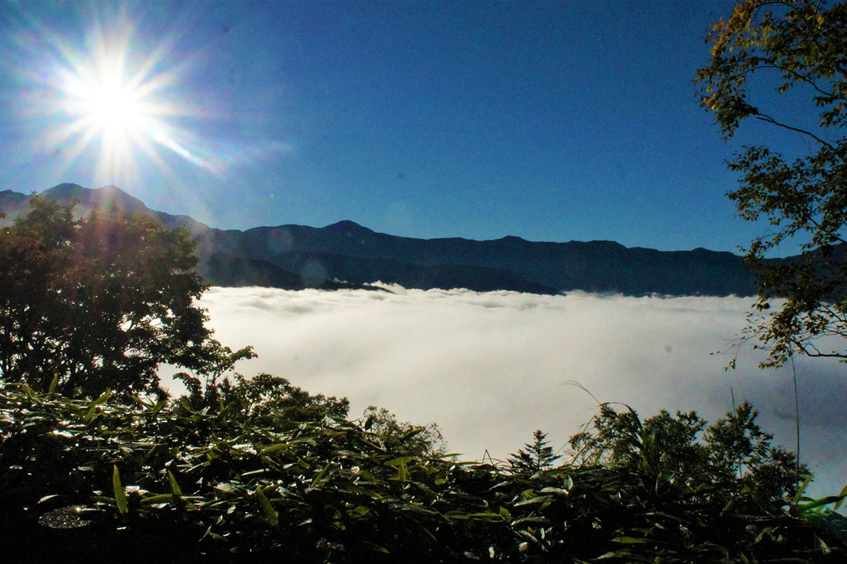 しらびそ高原の雲海