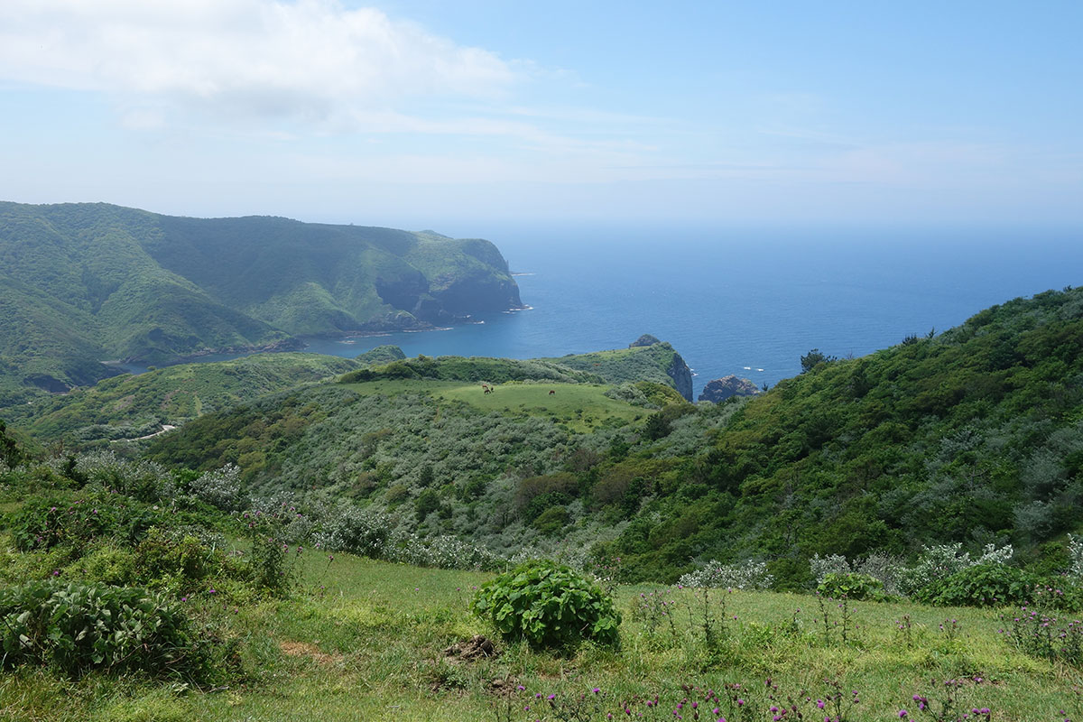 摩天崖① 西ノ島