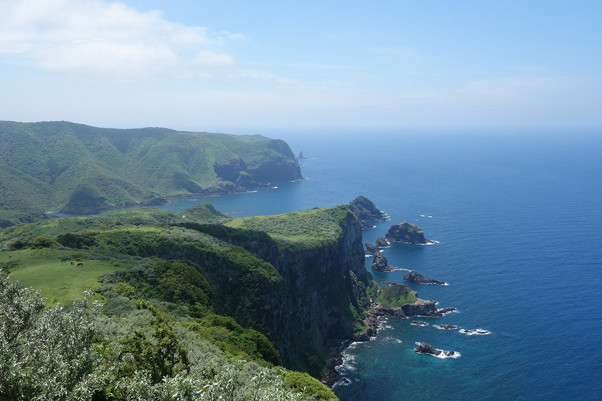摩天崖② 西ノ島