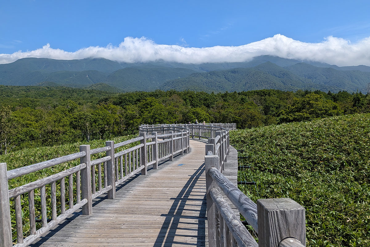 知床五湖 高架木道