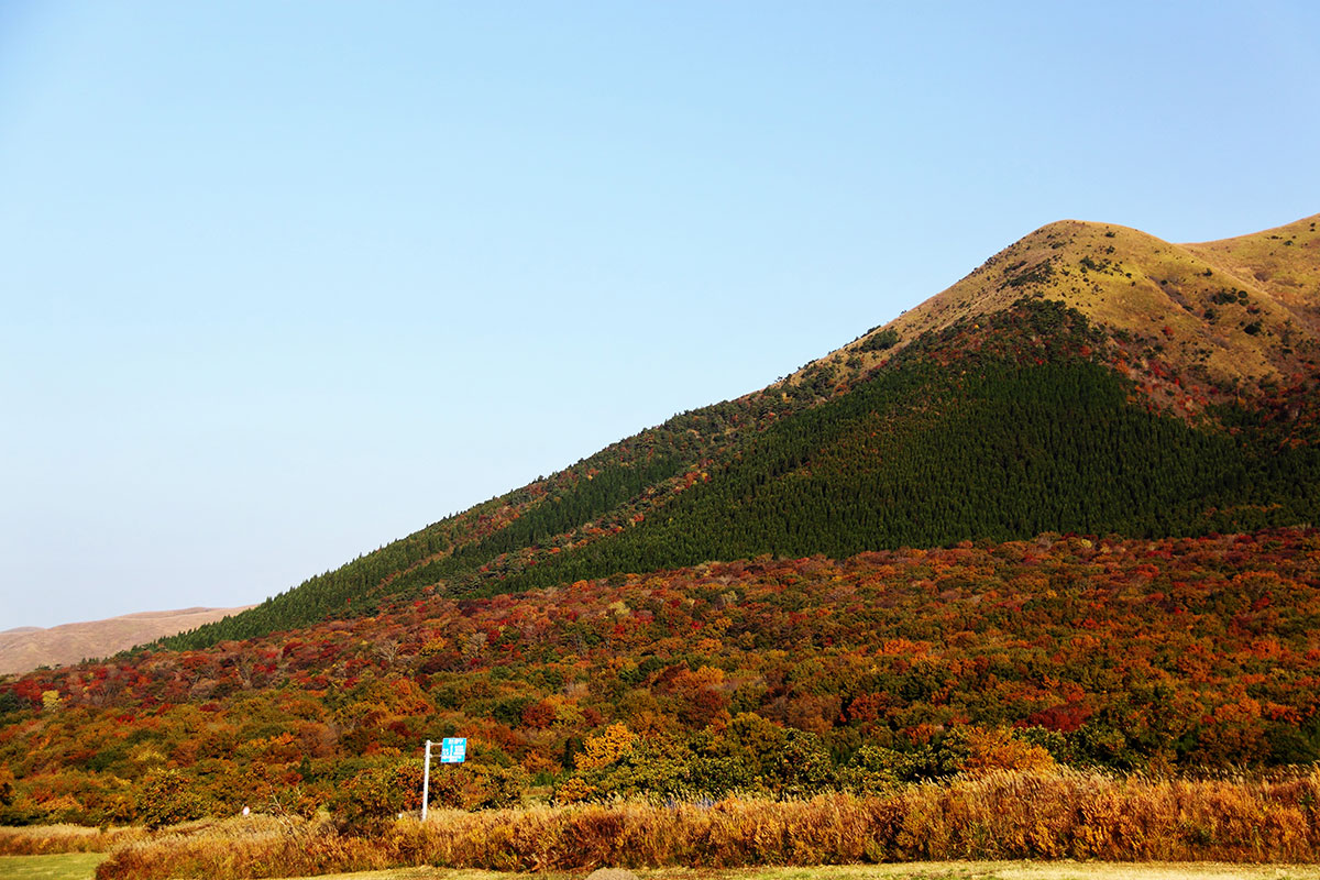 瀬の本高原（紅葉）(提供　熊本県観光連盟）