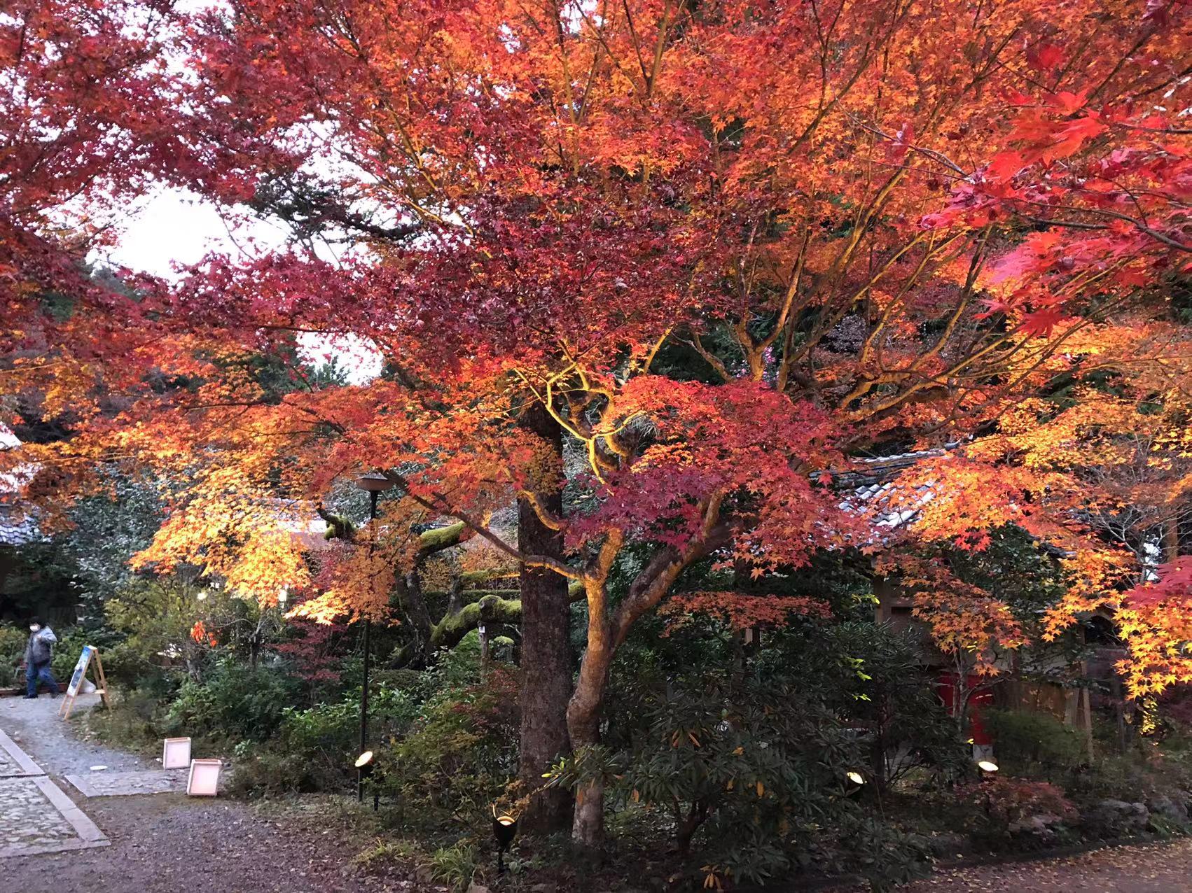 神蔵寺の紅葉　