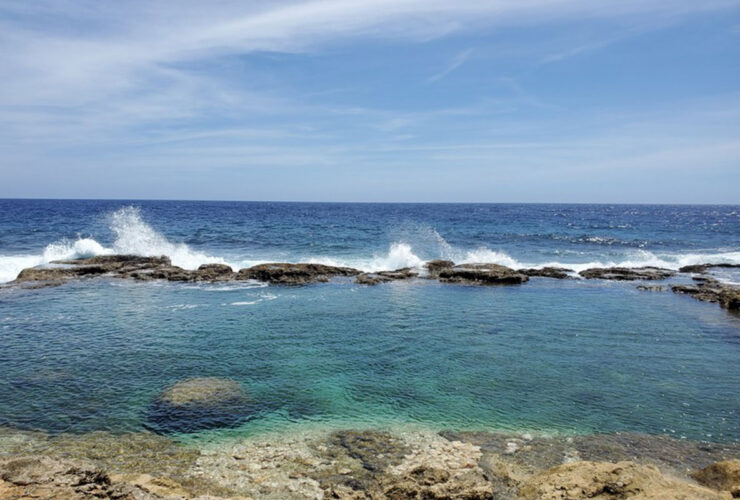 南大東島　海軍棒　大東観光商事提供