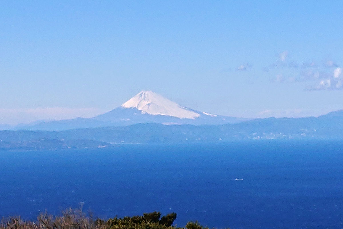 伊豆大島から見た富士山