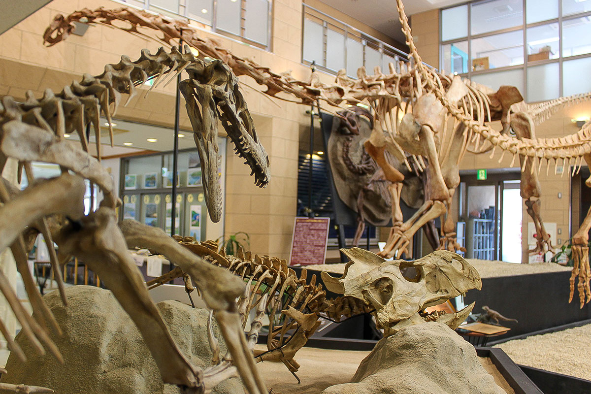 甑ミュージアム恐竜化石等準備室（恐竜骨格標本）