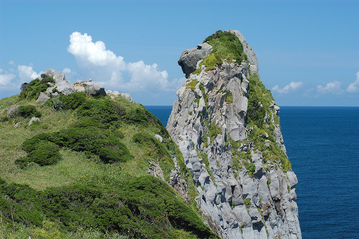 壱岐のシンボル　猿岩（写真提供：（一社）長崎県観光連盟）