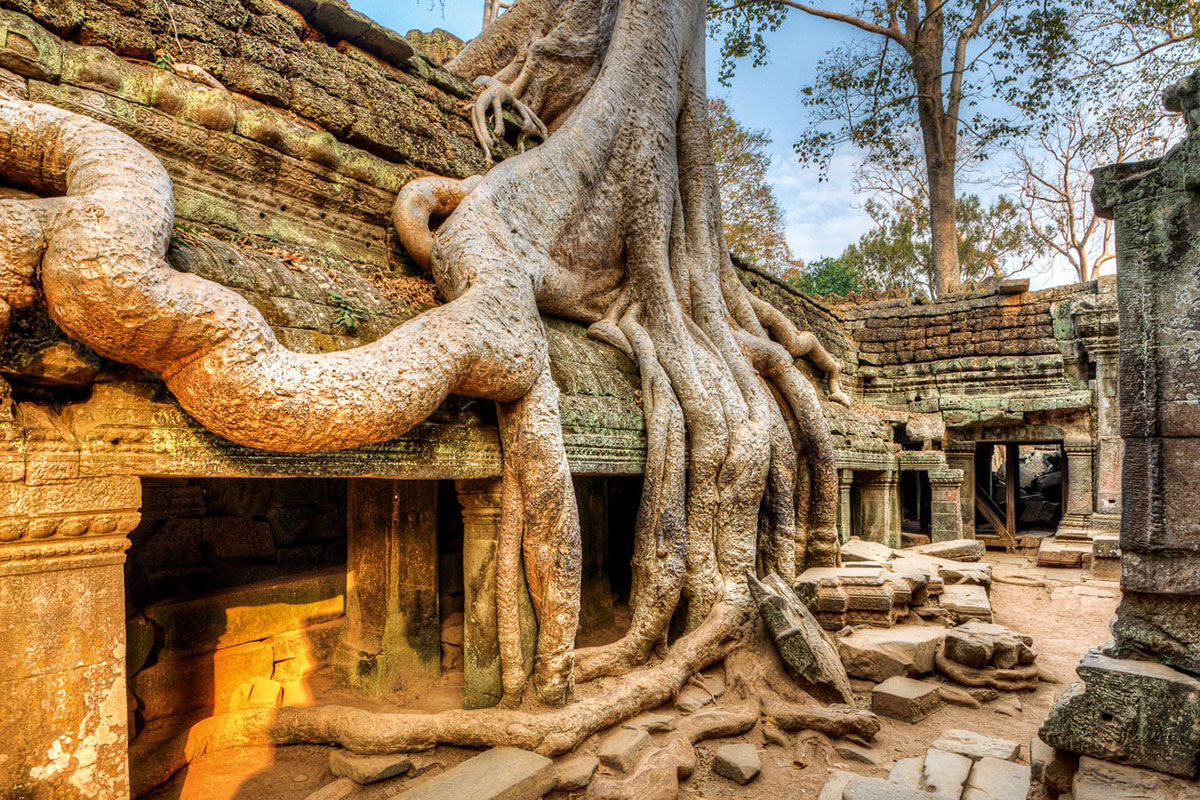巨大なスポアンの木の根が絡みつく人気のタ・プローム寺院