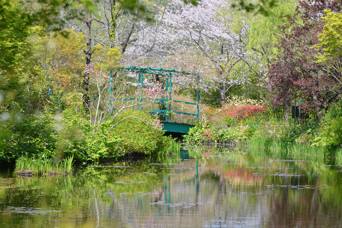 【モネの庭】4月上旬水の庭