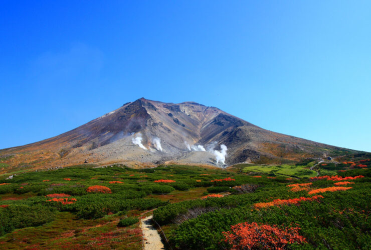 旭岳の紅葉 旭岳ロープウェイ提供
