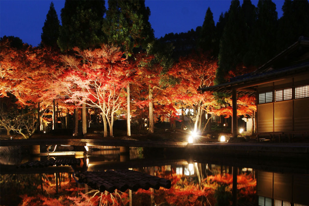 京都　しょうざんリゾートライトアップされた紅葉と庭園