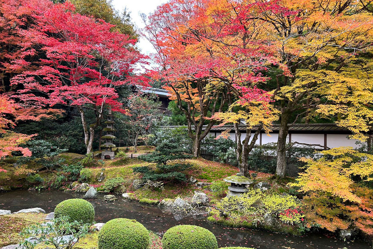 皇室ゆかりの泉湧寺の庭園