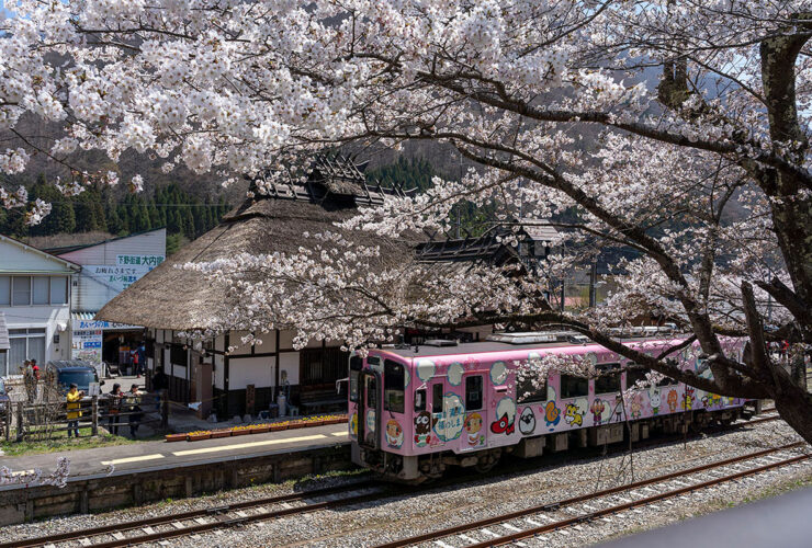 湯野上温泉駅と桜（福島県観光協会）