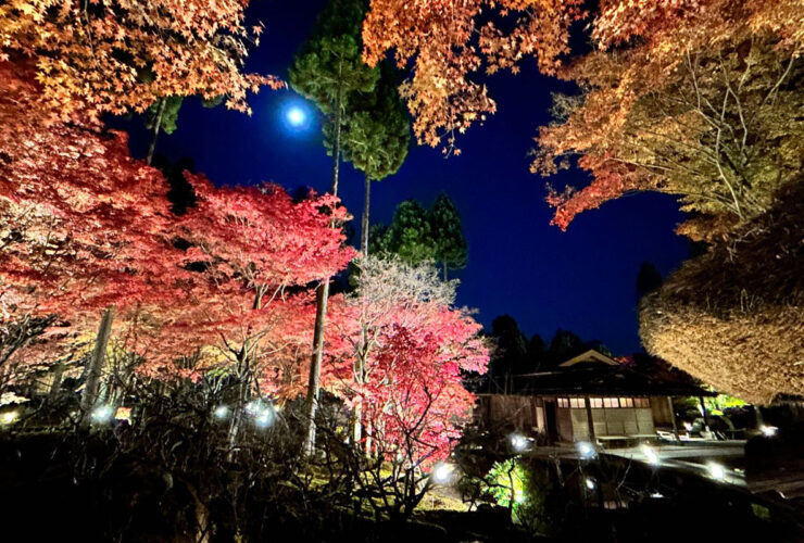 ライトアップされたしょうざんリゾートの日本庭園