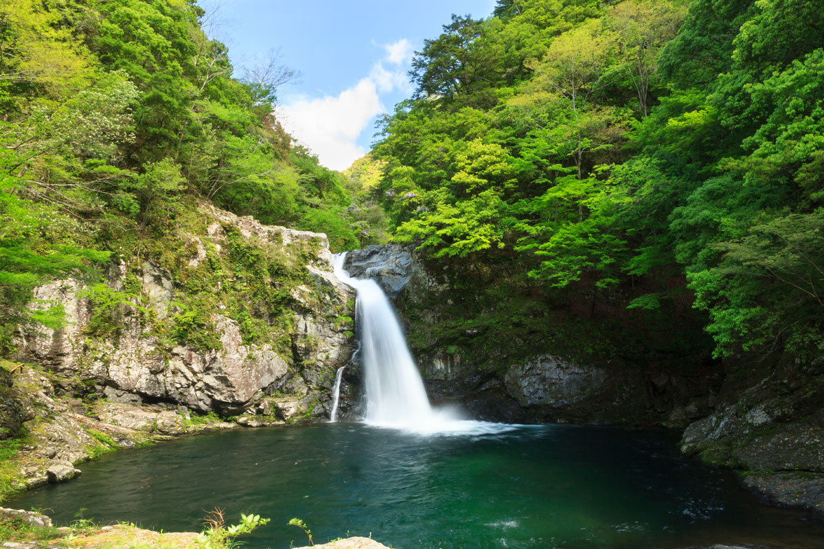 清納の滝　写真提供：十津川村観光協会