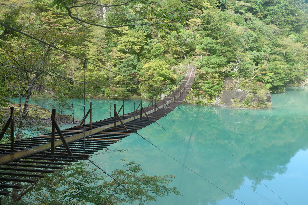 夢の吊り橋②