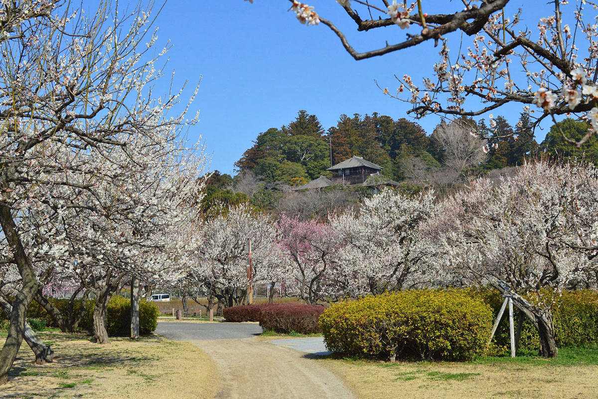 田鶴鳴広場から見た好文亭