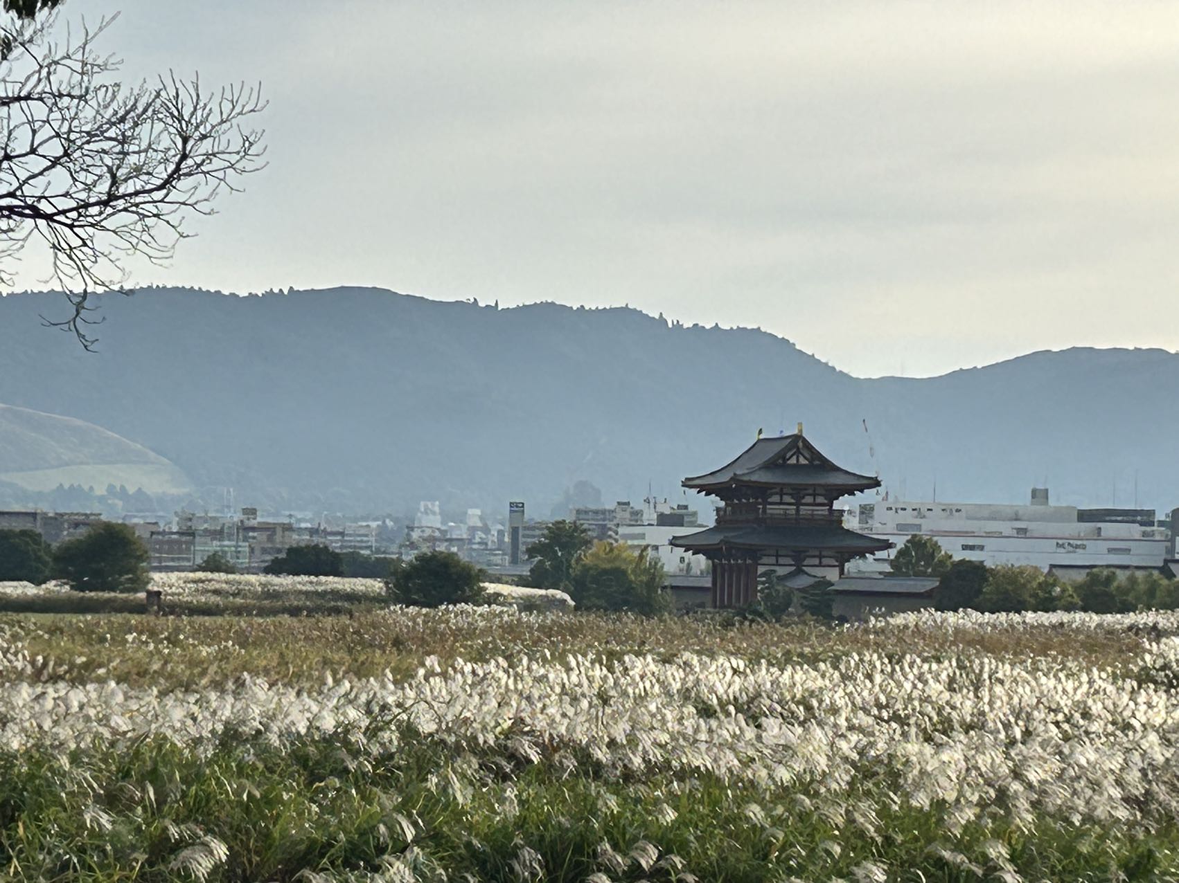 平城宮跡