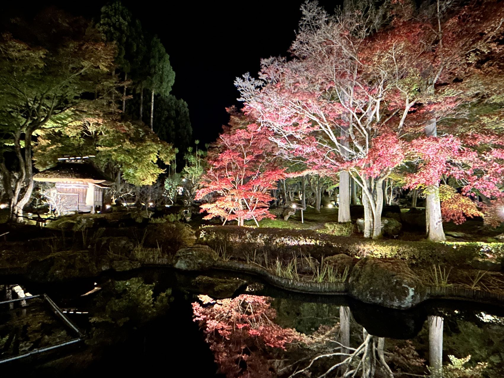 夜のライトアップ