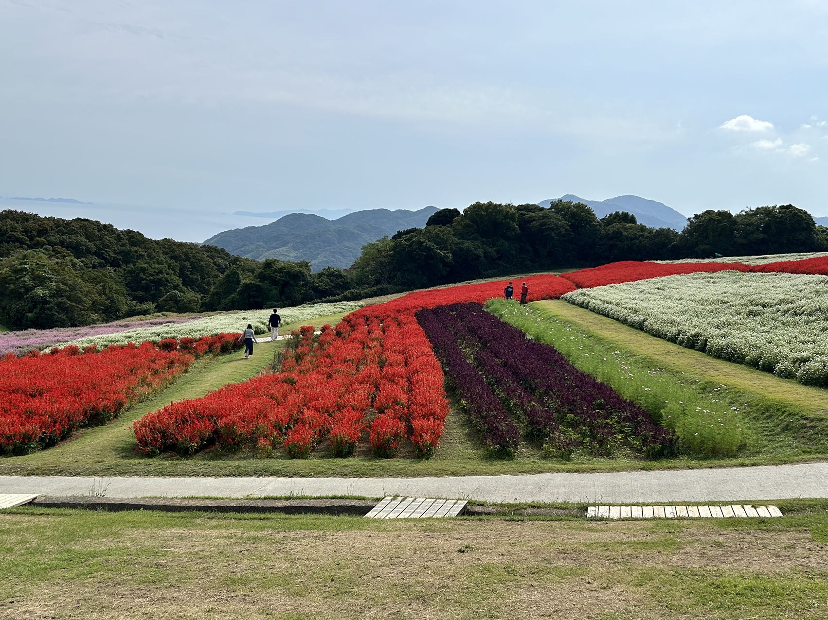 あわじ花さじき