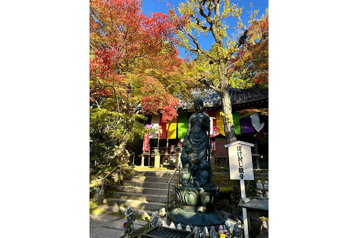 今熊野観音寺