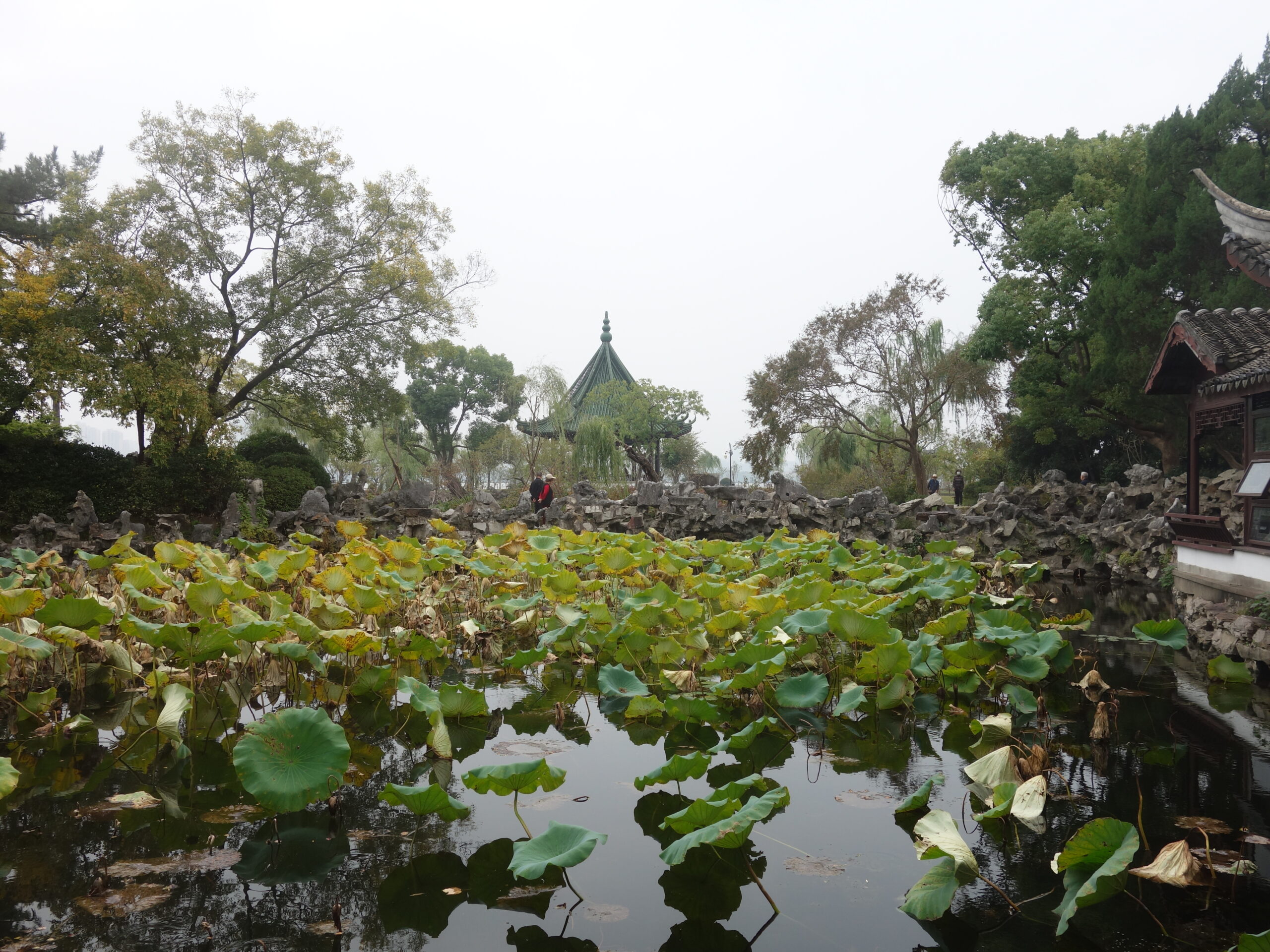 蠡園②