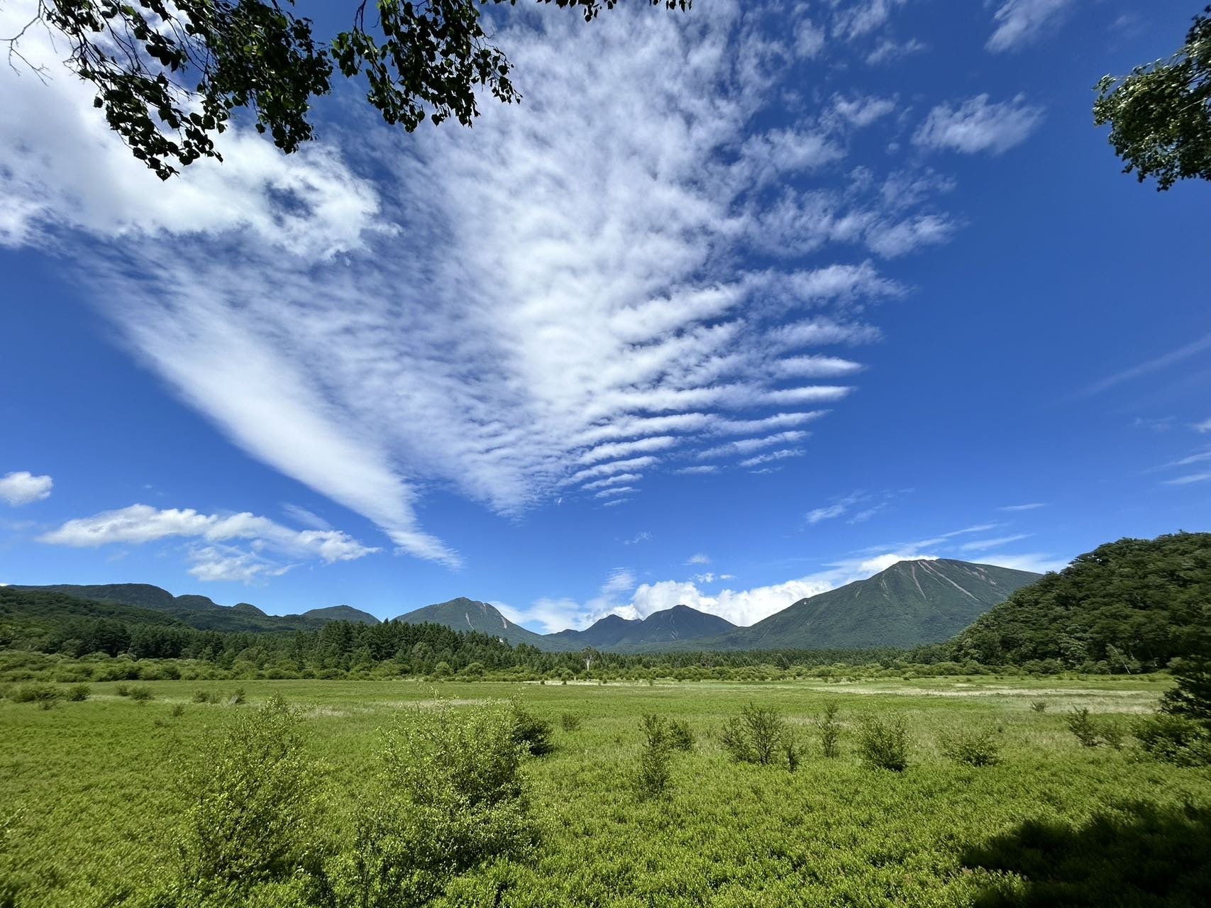 小田代原（昨年同時期撮影）