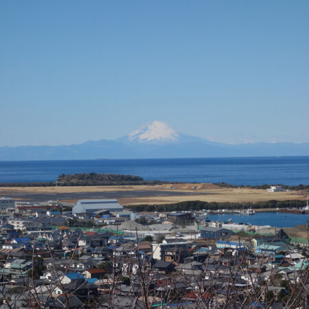 館山城から見た富士山