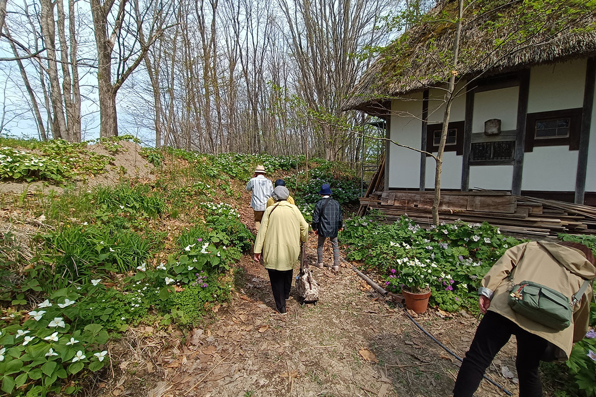 太四郎の森1