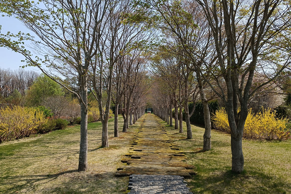 六花亭アートヴィレッジ 中札内美術村1