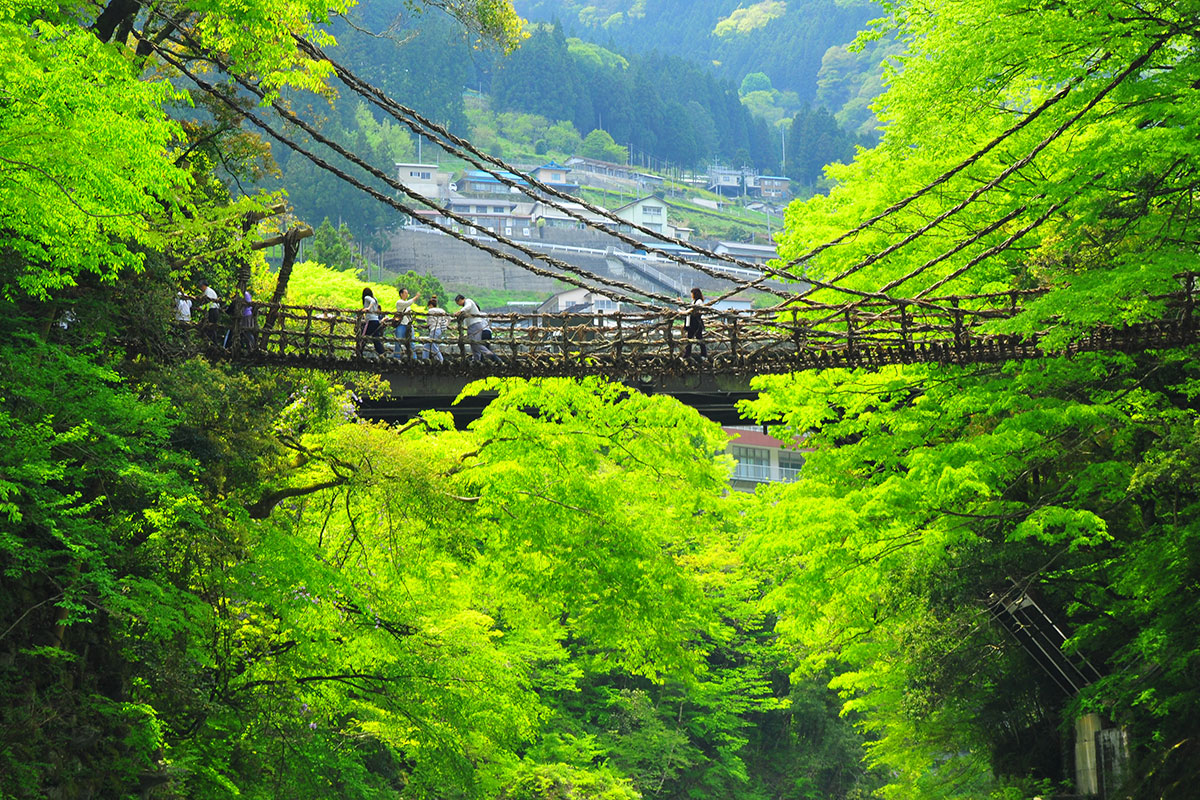 祖谷のかずら橋