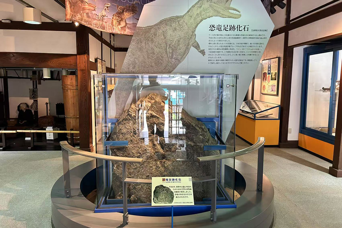 恐竜の足跡の化石
