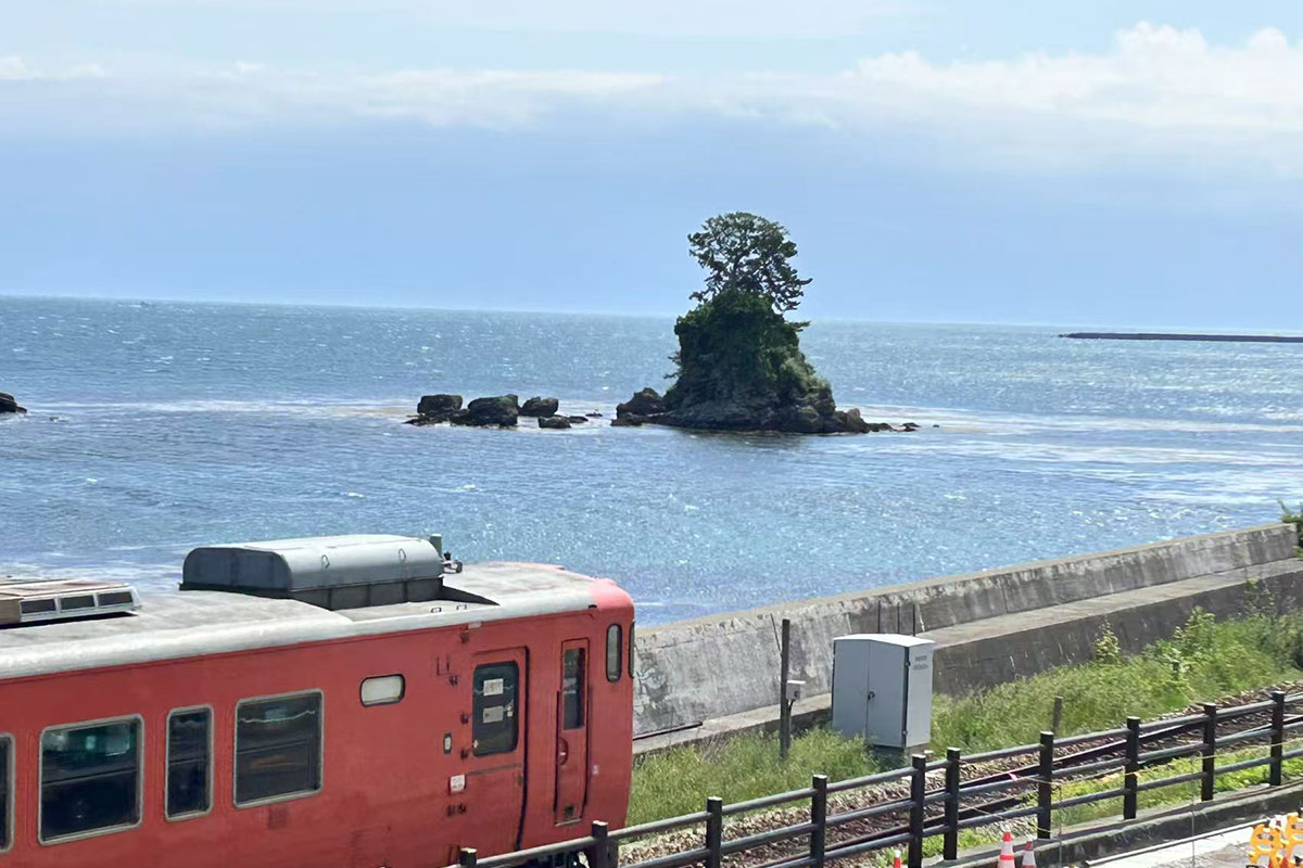 雨晴海岸の一枚