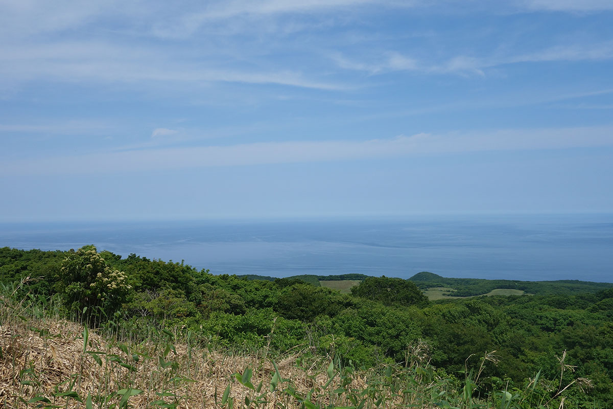 球島山展望台からの眺め
