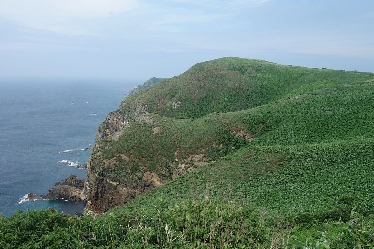 天売島　海鳥観察舎からの眺め