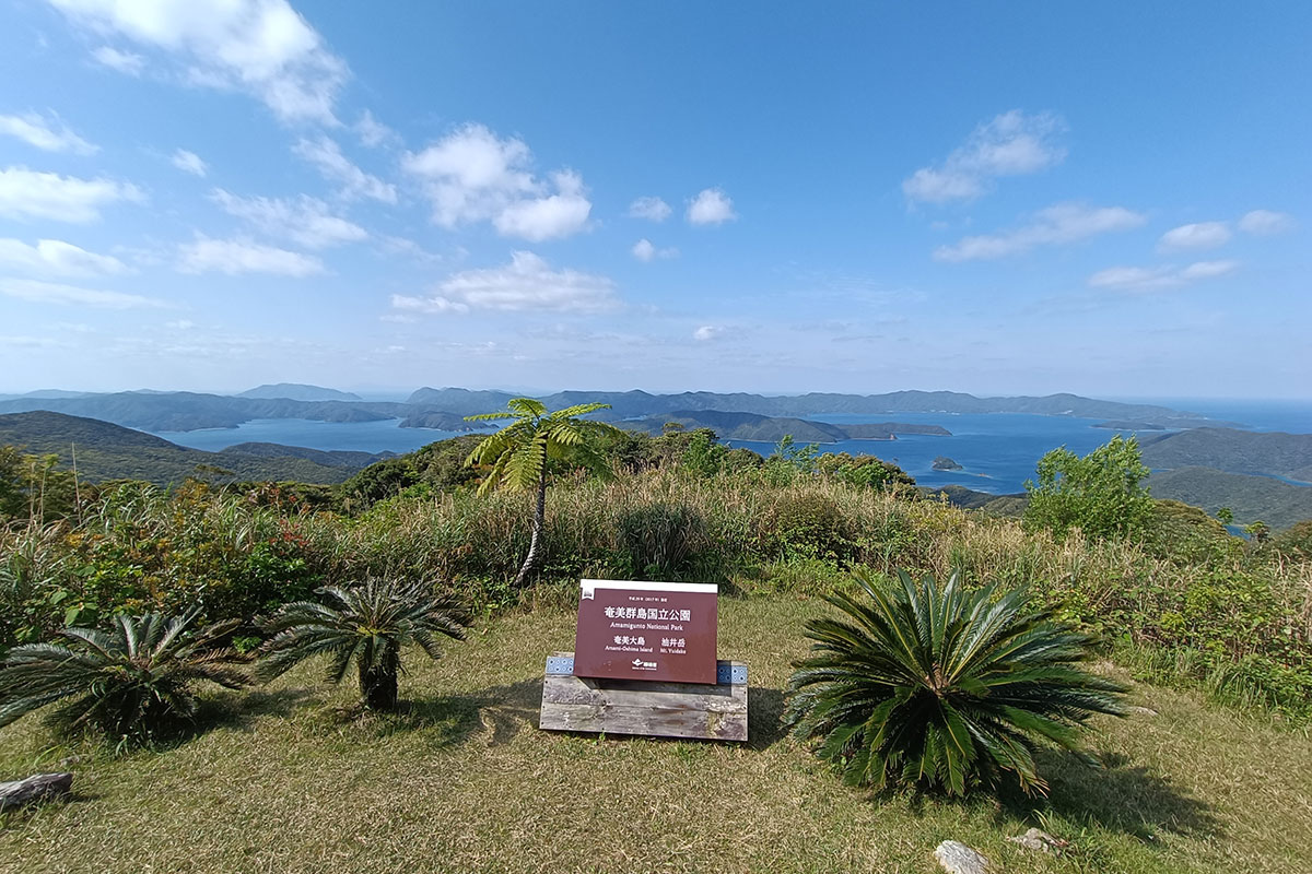 油井岳展望台