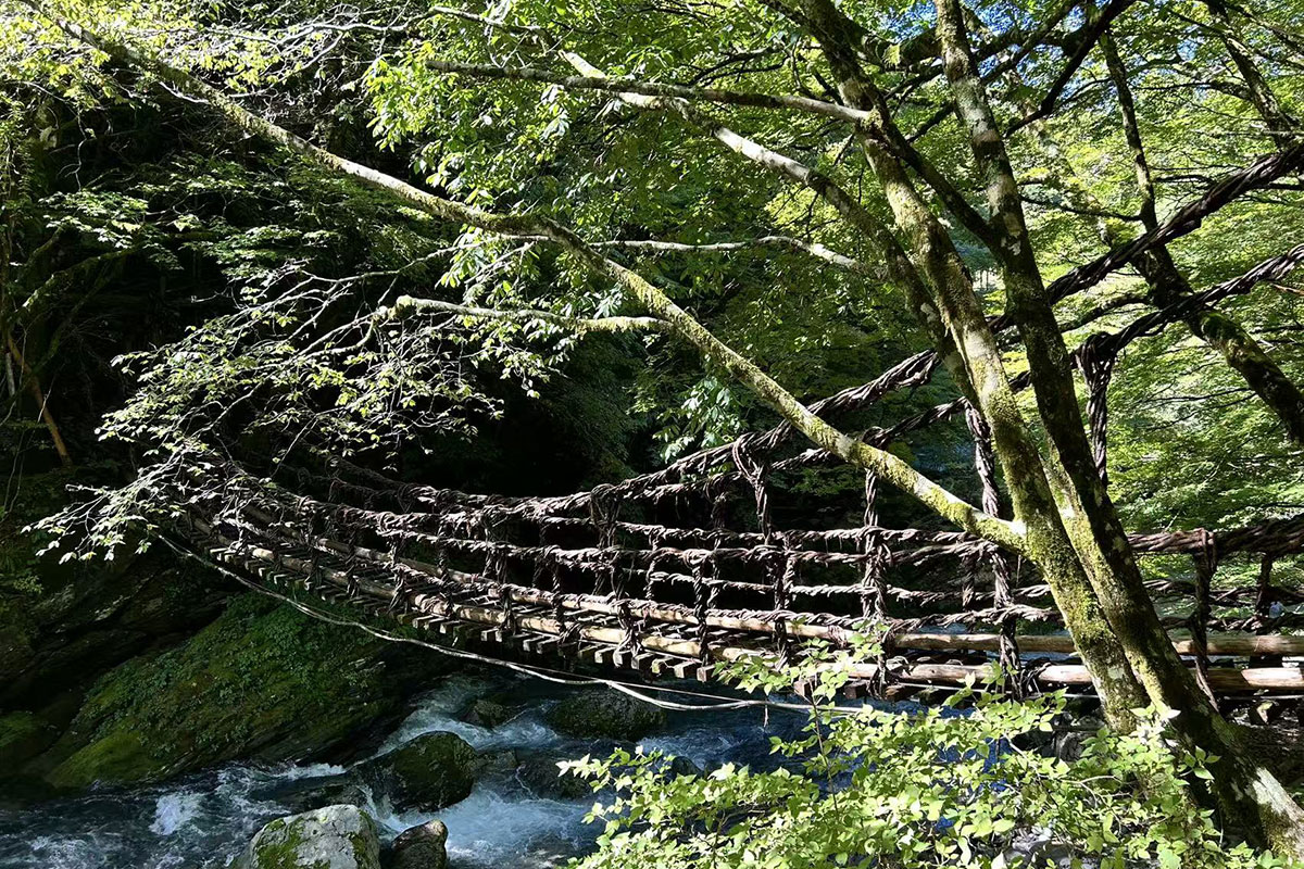 奥祖谷二重かずら橋