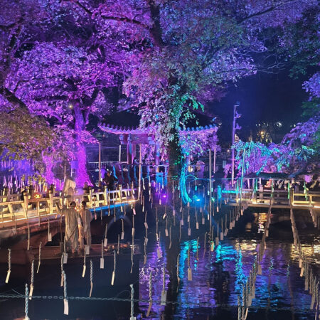 ハマン落火ノリ2