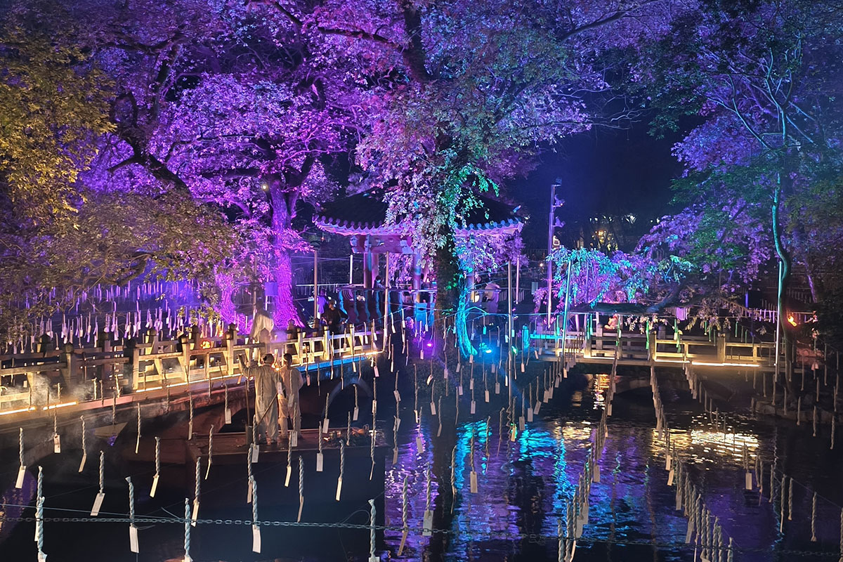 ハマン落火ノリ２