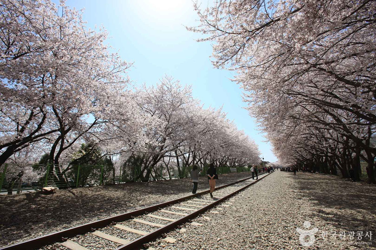 鎮海慶和駅