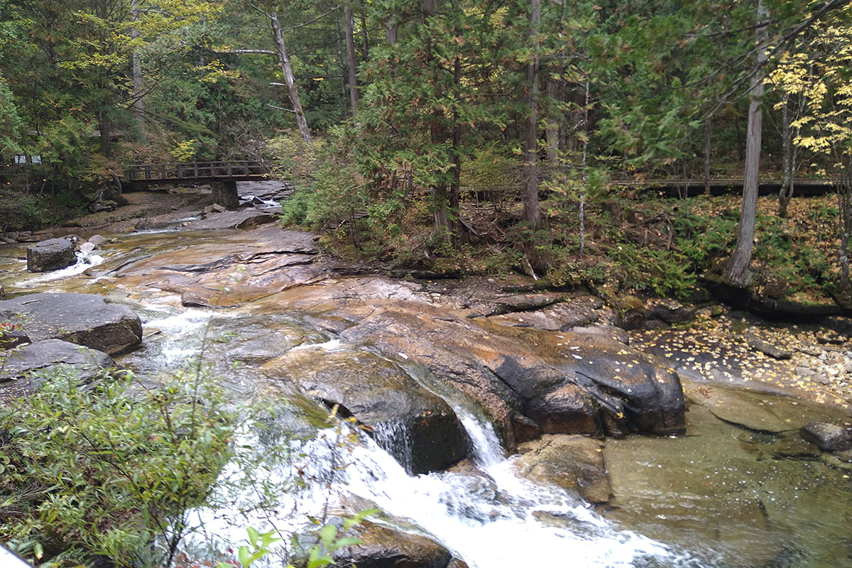 赤沢自然休養林