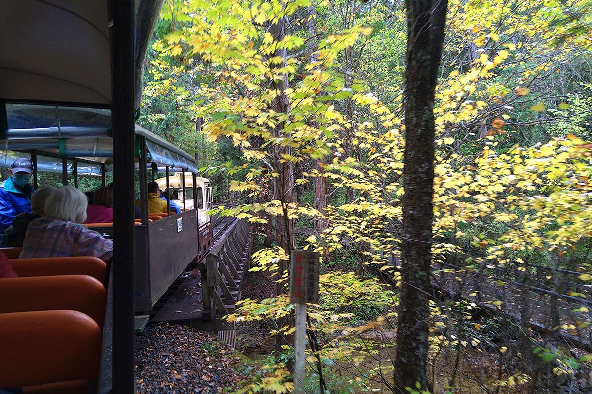 赤沢森林鉄道トロッコ列車