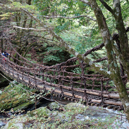 奥祖谷二重かずら橋(女橋)