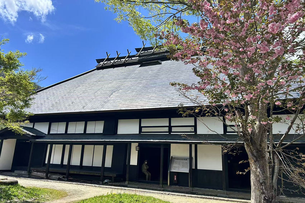 お花も咲く時期の小谷村（昨年同時期添乗員撮影）