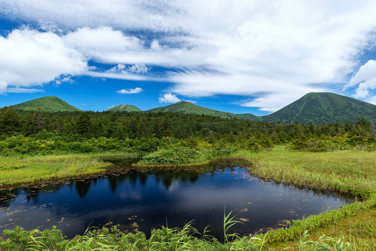 八甲田山頂の湿原