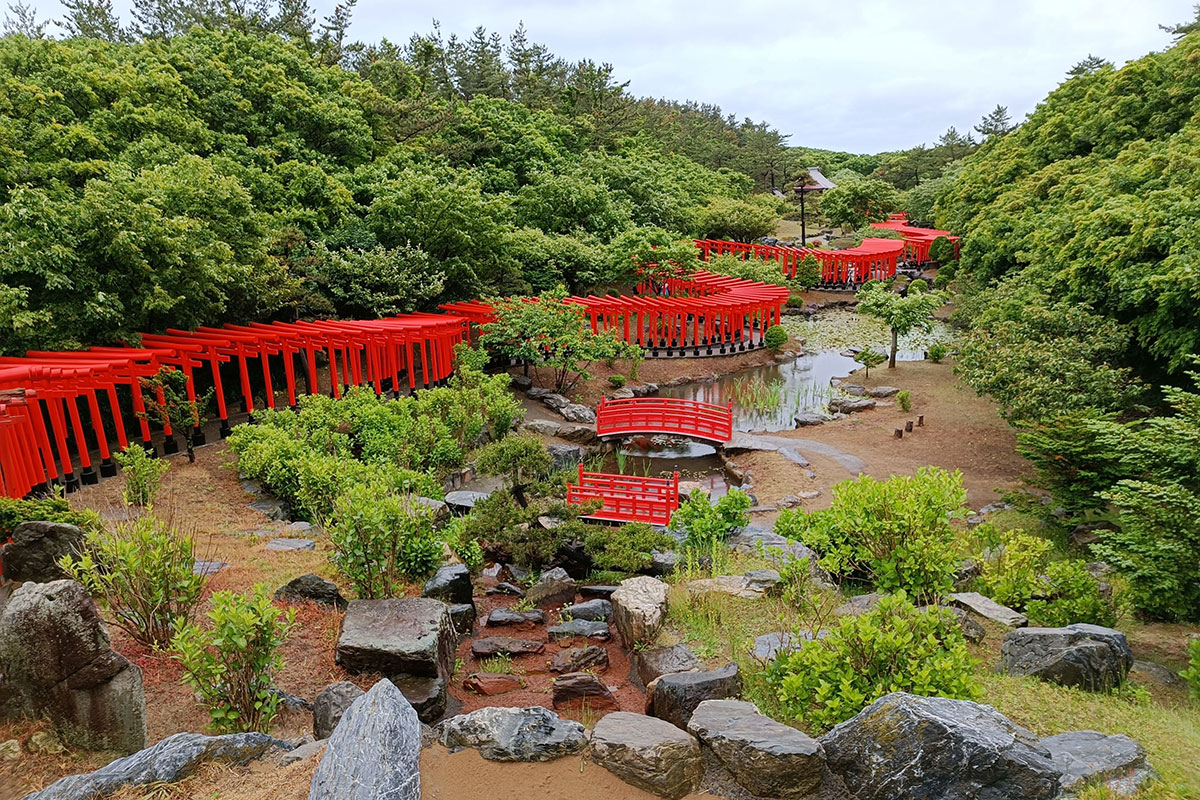 高山稲荷神社の千本鳥居