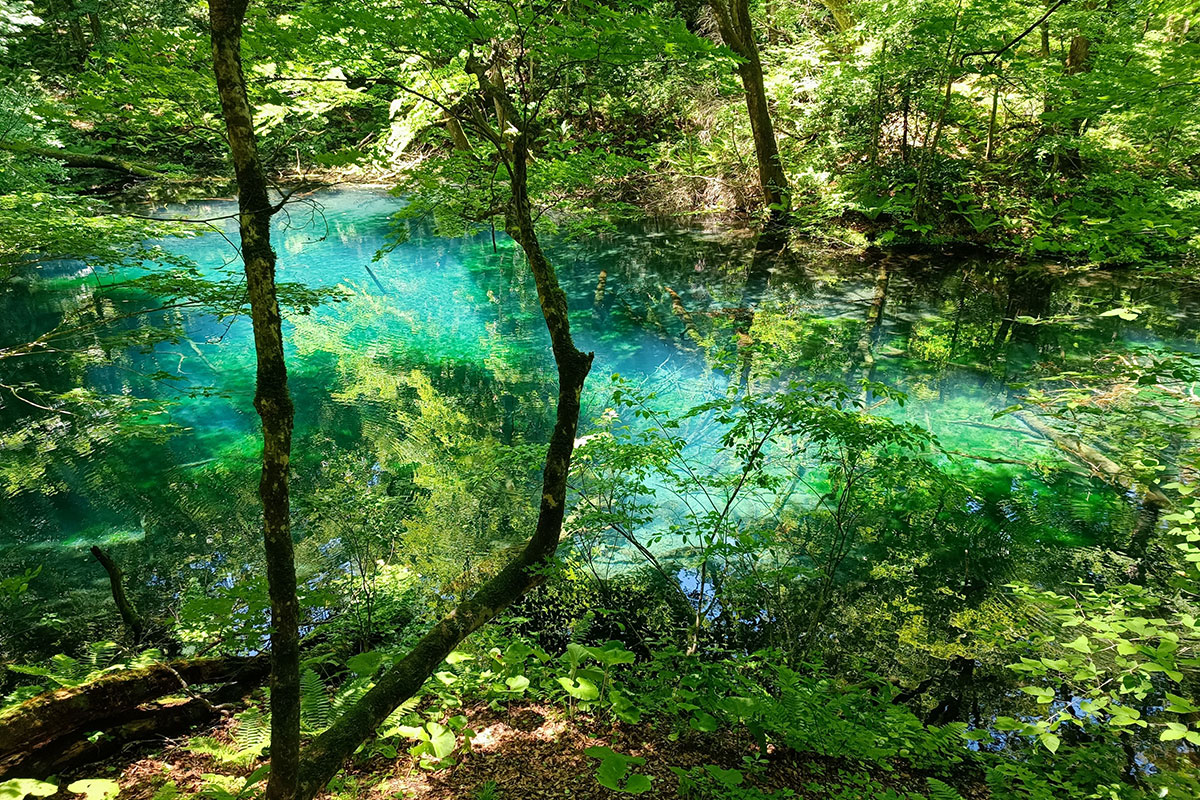 白神山地の神秘的な色の湖